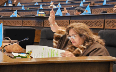 Otro freno en seco para el gobierno de Luis Arce, Diputados rechaza crédito de $us 100 MM de Fonplata