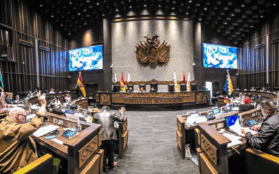 Ley que pretendía cesar a vocales del TSE, parar elecciones y ampliar mandatos del Ejecutivo y Legislativo no prosperó en el Senado