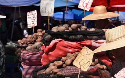 El costo de vida en Bolivia sigue alto, la inflación acumulada llega al 18,33%