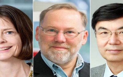 El Nobel de Medicina 2025 es para Mary E. Brunkow, Fred Ramsdell y Shimon Sakaguchi
