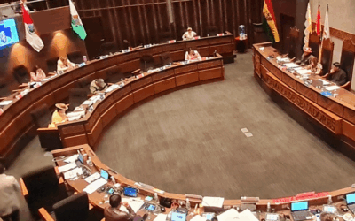 El Senado suspende proyecto de ley para cesar a los vocales del TSE