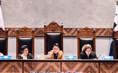 En la clausura legislativa, Senado sanciona ley de protección de los huérfanos de las víctimas de feminicidio y les otorga un bono de Bs 550