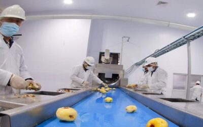 La planta de papa de Emapa queda en El Alto ¿conozca dónde?