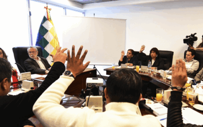 Comisión de Constitución de Diputados aprobó sin modificaciones el proyecto de ley de elecciones subnacionales