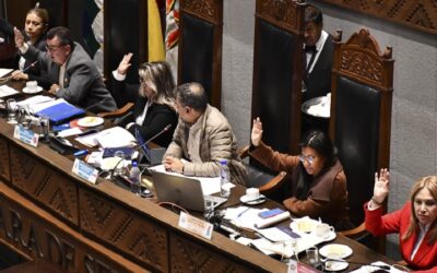 La Cámara Alta aprobó en grande y en detalle el proyecto de ley de convocatoria a las elecciones subnacionales