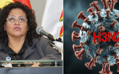 Bolivia en Alerta Epidemiológica por la variante K de la influenza AH3N2