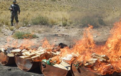 Bolivia no es un país de tránsito, sino productor de cocaína, al año produce unas 300 toneladas: Justiniano