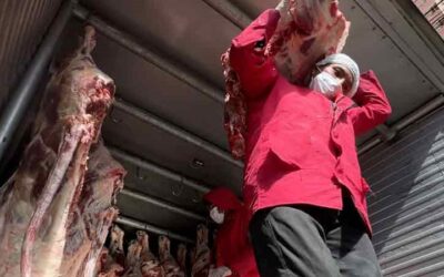 El Gobierno abre la exportación de la carne, pero en los mercados el producto sigue caro, oscila en Bs 80 el kilo ¿acierto o desacierto?