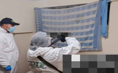 Feminicidio en Navidad: El consumo de bebidas alcohólicas derivó en la muerte de una mujer en La Paz, suman a 79 casos en Bolivia