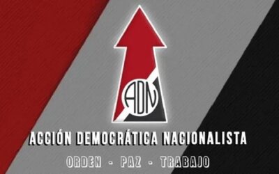 Haga lo que haga, ADN está fuera de la carrera electoral subnacional del 22 de marzo: OEP