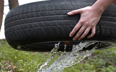 Santa Cruz en alerta roja y con un muerto por chikunguña, pero los criaderos proliferan