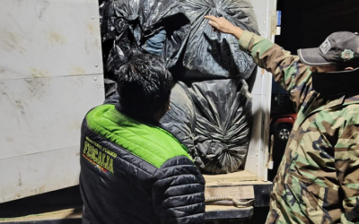 Duro golpe al tráfico de drogas, más de tres toneladas de marihuana secuestra la Felcn