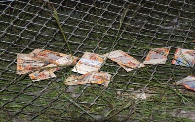 El BCB determina que billetes de los cortes Bs 10, 20 y 50 de la Serie B no deben circular, no tienen valor legal y anuncia cronograma de canje