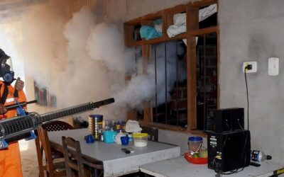 Chikunguña: un nuevo genotipo del virus, 3.811 casos y cuatro muertos ponen en vilo a Santa Cruz
