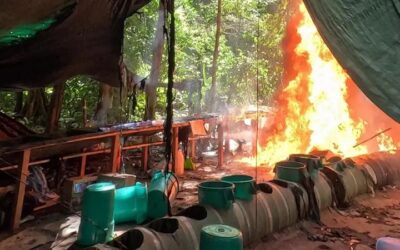 En la zona donde Evo Morales se atrinchera, fuerzas antidrogas asestan duros golpes al narcotráfico; Rodrigo Paz, pondera