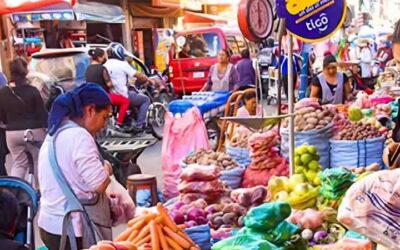 La inflación de enero fue del 1,31% y la acumulada a 12 meses de 19,64