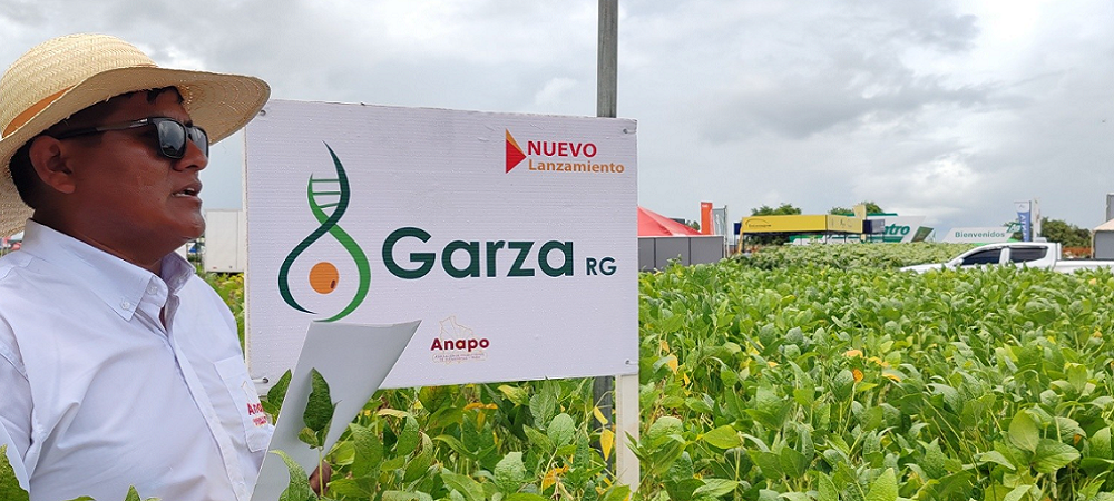 La Exposoya 2026 destacó avances tecnológicos y afianzó su vocación productiva coyera