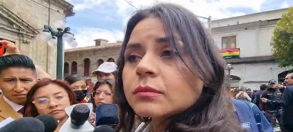 Tras la salida de Faval, oficialismo y oposición recomiendan prescindir de la Vocería de la Presidencia