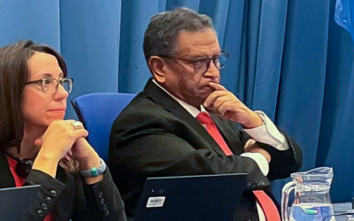 En Austria-Viena, Bolivia presenta cinco pilares de la política del Gobierno contra el narcotráfico