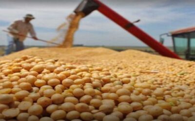 Por ir en contra de los productores, Rodrigo Paz abroga el DS 5547 de libre importación de arroz y soya