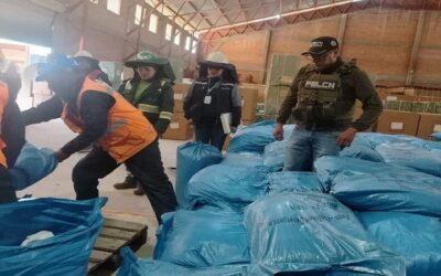 Encuentran más de 50 ton de sustancias controladas en galpones de la Aduana de Oruro