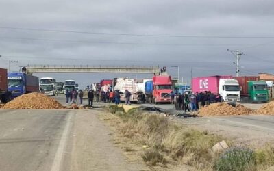 Flotas, pasajeros nacionales e internacionales, el comercio, la producción agrícola, sienten con rigor la falta de diésel