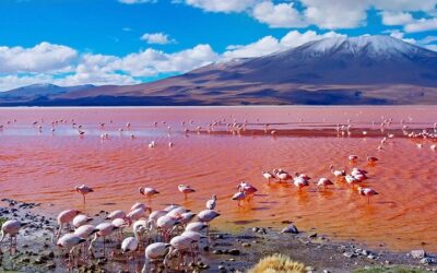 Bolivia entre los 51 países más bellos del mundo