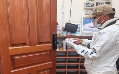 Ni la casa de Eva Copa se salva, delincuentes se roban medio millón de bolivianos y $us 17.000