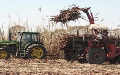 Sector agrícola requiere de 90 MM de litros de diésel para asegurar cosecha de verano: Anapo