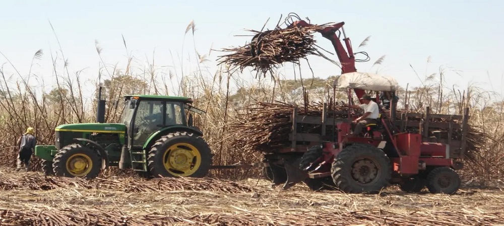 Sector agrícola requiere de 90 MM de litros de diésel para asegurar cosecha de verano: Anapo