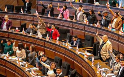 La Cámara de Diputados aprueba la abrogación de la Ley 1720 y la remite al Senado