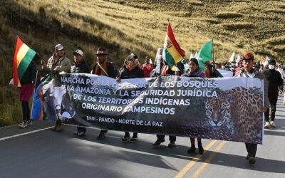 La marcha indígena por la tierra entra este lunes a La Paz hasta abrogar la Ley 1720