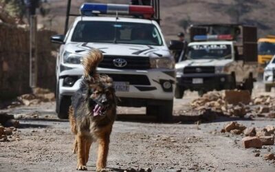 Rex, el perro callejero que acompañó a policías en los desbloqueos, fue adoptado por la Policía