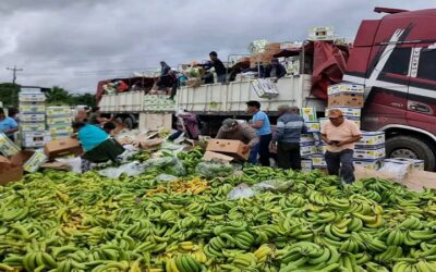 En la desesperación, bananeros echaron toneladas sobre la carretera, corren riesgo de perder el mercado de Argentina