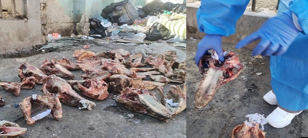 ¿En medio de la crisis se está comiendo carne de perro en El Alto?, hallaron restos de canes, la Alcaldía investiga
