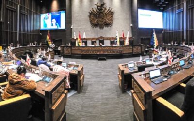 Tras la aprobación en el Senado, Diputados trata el sábado la Ley de Estados de excepción