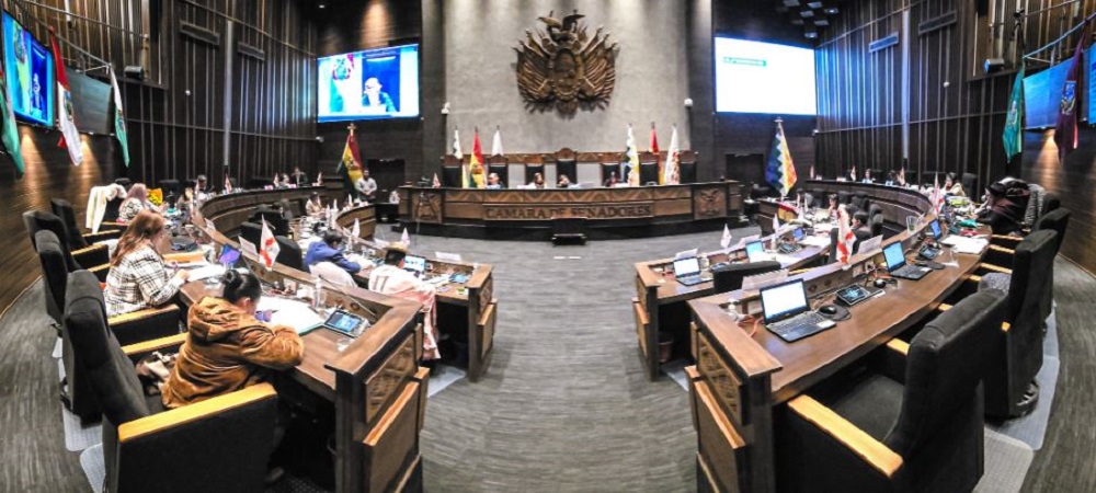Tras la aprobación en el Senado, Diputados trata el sábado la Ley de Estados de excepción