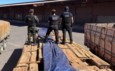 Brasil intercepta cerca de 50 toneladas de cocaína de procedencia Bolivia