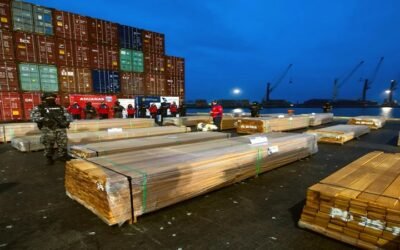 Bolivia exige aclaraciones a Chile tras descartarse droga en cargamento de madera retenido