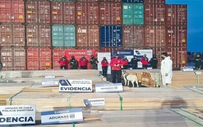Bolivia exige a Chile resarcimiento por el perjuicio de la supuesta madera impregnada con cocaína