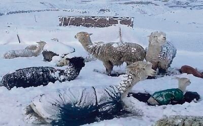 Bolivia: San Pablo de Lípez -15°C y recrudecerá aún más