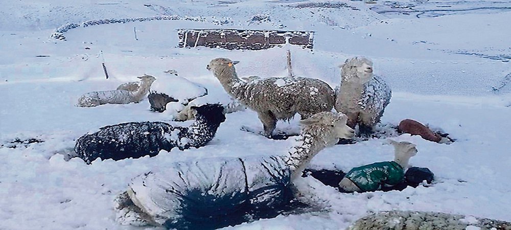 Bolivia: San Pablo de Lípez -15°C y recrudecerá aún más