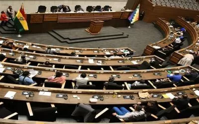 La Asamblea suspende el proceso a las judiciales hasta que el TCP resuelva la acción abstracta