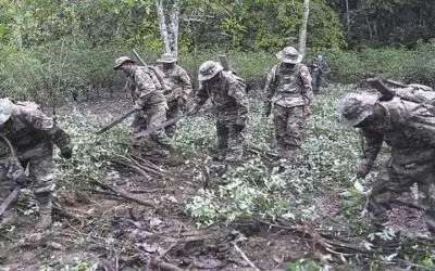 El Gobierno certificó que en la Reserva del Choré hay plantaciones ilegales de coca y procede a la erradicación