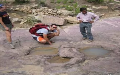 La Universidad Tomás Frías confirma hallazgo de huellas de dinosaurio del periodo Cretácico