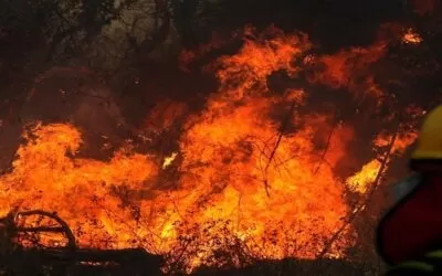 1.736 focos de calor en Bolivia, los mayores están en Santa Cruz con 1.297: Defensa Civil