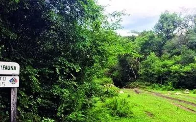 Advierten denuncia a la CIDH por explotación de hidrocarburos en la reserva de Tariquía