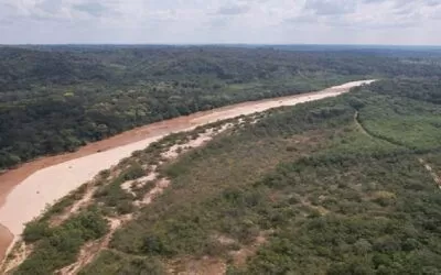 Sentencia del TCP no afecta estudio internacional para la carretera Buena Vista-Las Cruces