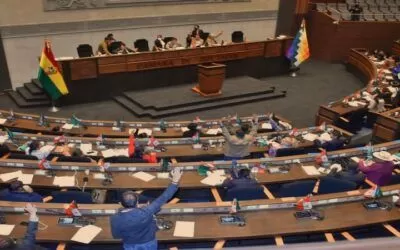 Unos $us 459 millones, 1% del PIB, están pendientes de aprobación en la Asamblea Legislativa