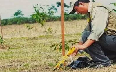 El INRA no hace dotación de tierras fiscales en áreas protegidas: Eulogio Núñez